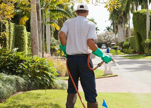About Wisconsin Dells WI Pest Control
